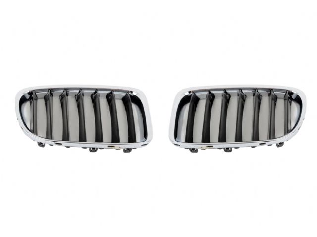 Front Upper Kidney Grille SPORT LINE