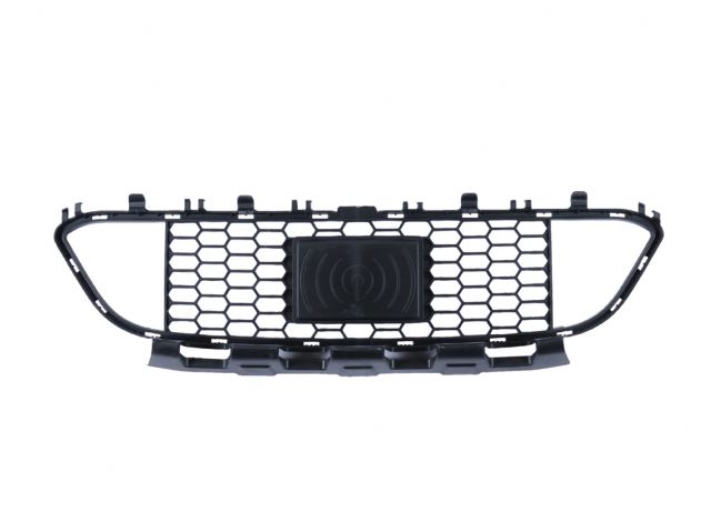 BMW 3 SERIES  F30 M3 Sedan 4Doors F/B CENTER GRILLE W/ CONNECT