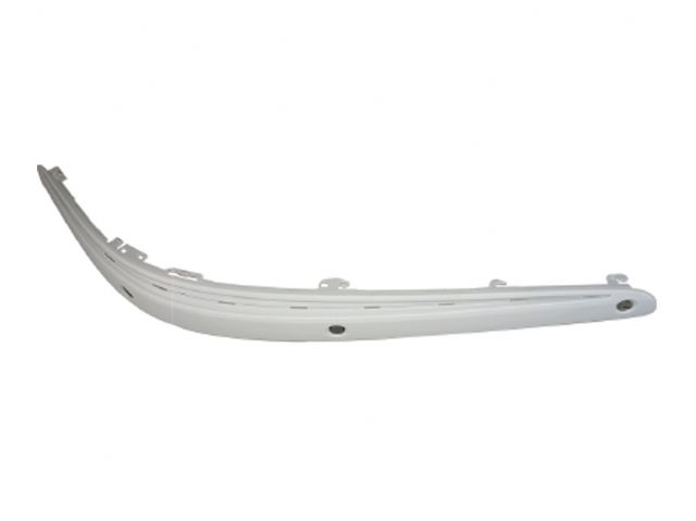 M. BENZ E-CLASS  W211 Avantgarde F/B STRIP (W/P,D,S HOLE) RH